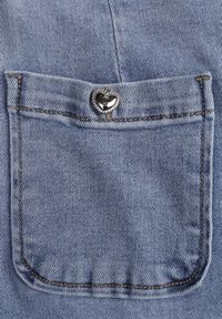 Renee - Niebieskie Szerokie Jeansy High Waist z Kieszonkami Thellona. Okazja: na co dzień. Stan: podwyższony. Kolor: niebieski. Wzór: aplikacja. Styl: casual #3