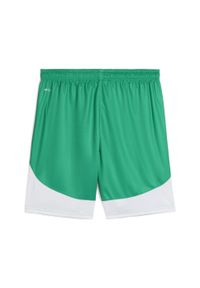 Puma - Męskie szorty piłkarskie SK Rapid Wiedeń PUMA Sport Green White. Kolor: wielokolorowy, zielony, biały. Sport: piłka nożna