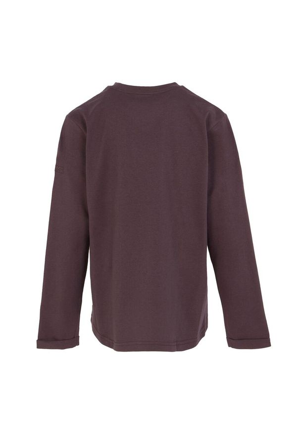 Regatta - T-shirt Dziecięca Gwiazda Z Długim Rękawem Wenbie III. Kolor: fioletowy. Długość rękawa: długi rękaw. Długość: długie. Sport: turystyka piesza