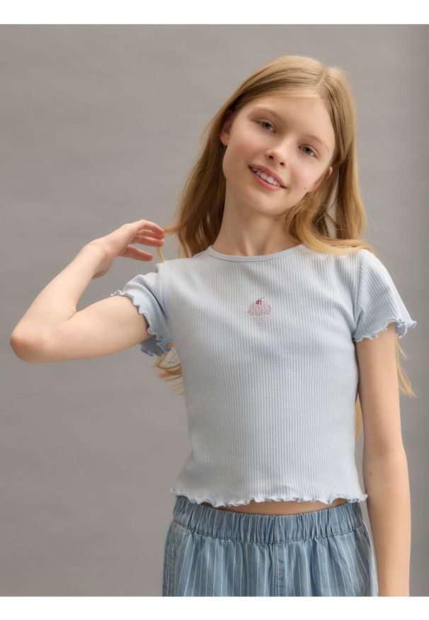 Reserved - Prążkowany t-shirt z aplikacją - jasnoniebieski. Kolor: niebieski. Materiał: prążkowany. Wzór: aplikacja