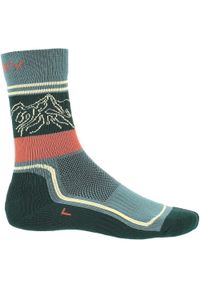 Skarpety trekkingowe damskie Viking Boosocks Heavy Bamboo Lady. Kolor: szary, wielokolorowy, zielony