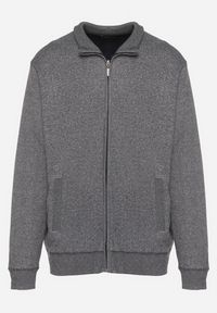 Born2be - Jasnoszary Ocieplany Kardigan z Wełną Zapinany na Suwak Acendrie. Okazja: na spotkanie biznesowe, na co dzień. Kolekcja: plus size. Kolor: szary. Materiał: wełna. Styl: klasyczny, biznesowy, casual