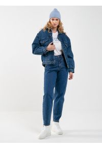 Big-Star - Spodnie jeans damskie mom jeans Ria 320. Kolor: niebieski #6