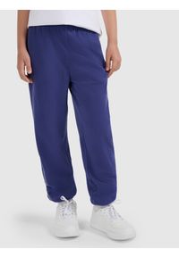 4f - 4F Spodnie polarowe chłopięce - granatowe 146 (10-11 lat). Okazja: na co dzień. Kolor: niebieski. Materiał: polar. Sezon: lato. Styl: casual #2