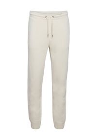 !SOLID - Solid Spodnie dresowe 21106556 Beżowy Regular Fit. Kolor: beżowy. Materiał: bawełna