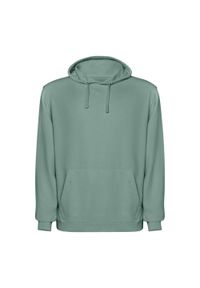 ROLY - Bluza Z Kapturem Unisex Dla Dorosłych Kenia. Typ kołnierza: kaptur. Kolor: zielony #1