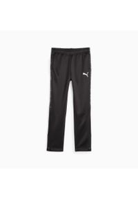Puma Spodnie Active Sports Poly 67631701. Kolor: czarny