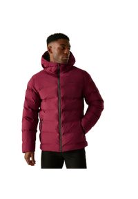 Regatta - Męska Wodoodporna Kurtka Termiczna Altoro. Kolor: czerwony. Materiał: puch. Sport: turystyka piesza #1