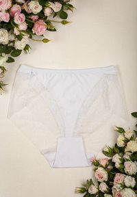 Renee - Białe Koronkowe Majtki z Wysoką Talią o Fasonie Fig Tamava. Stan: podwyższony. Kolekcja: plus size. Kolor: biały. Materiał: koronka. Wzór: koronka
