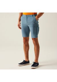Regatta - Spodenki turystyczne męskie Bendrick. Kolor: szary. Materiał: tkanina, elastan, bawełna. Sport: turystyka piesza #1