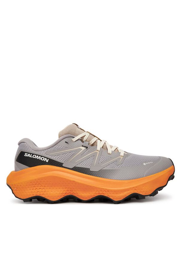 salomon - Salomon Buty do biegania Ultra Flow 2 Gore-Tex L47884200 Szary. Kolor: szary. Materiał: materiał. Technologia: Gore-Tex