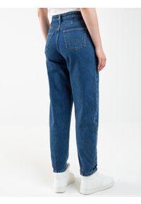 Big-Star - Spodnie jeans damskie mom jeans Ria 320. Kolor: niebieski #7