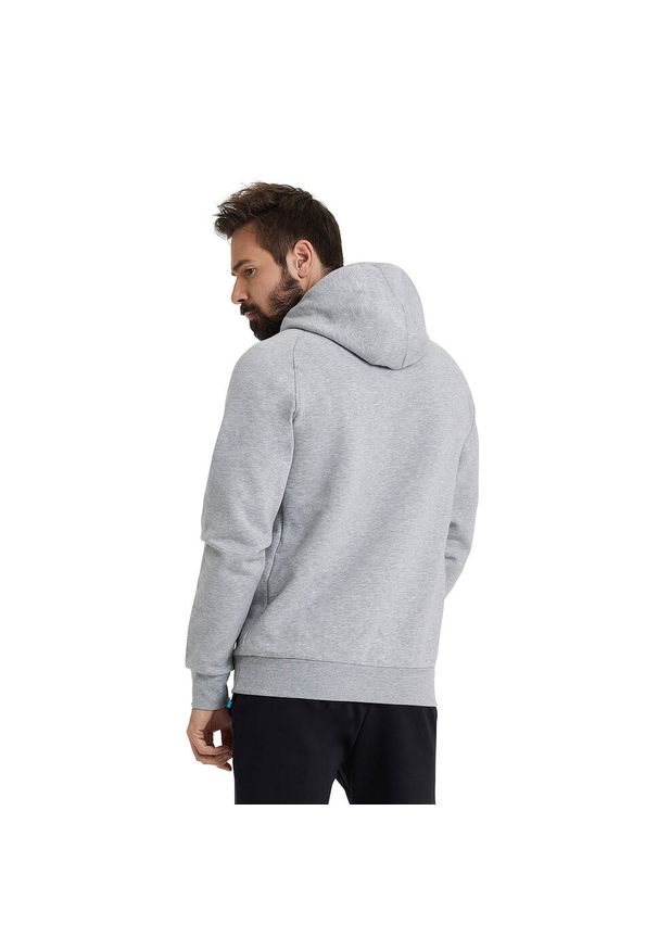 Bluza Arena Hooded Sweat Logo z kapturem. Typ kołnierza: kaptur. Kolor: szary. Materiał: bawełna