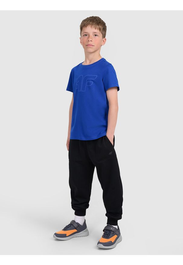 4f - 4F T-shirt regular z nadrukiem chłopięcy - niebieski 152 (11-12 lat). Okazja: na co dzień. Kolor: niebieski. Materiał: jersey, bawełna, materiał. Długość rękawa: krótki rękaw. Długość: krótkie. Wzór: nadruk. Sezon: lato. Styl: sportowy, casual, klasyczny, młodzieżowy