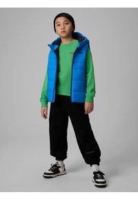 4f - 4F Bezrękawnik z wypełnieniem syntetycznym chłopięcy - granatowy 152 (11-12 lat). Okazja: na spacer, na co dzień, na uczelnię. Typ kołnierza: kołnierzyk stójkowy. Kolor: niebieski. Materiał: syntetyk. Długość rękawa: bez rękawów. Sezon: lato. Styl: casual #2