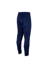 Spodnie piłkarskie dla dzieci Puma teamRISE Poly Training Pants Jr. Kolor: niebieski. Materiał: poliester