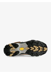 Buty trekkingowe damskie Zamberlan Vioz Lux GTX RR. Kolor: brązowy