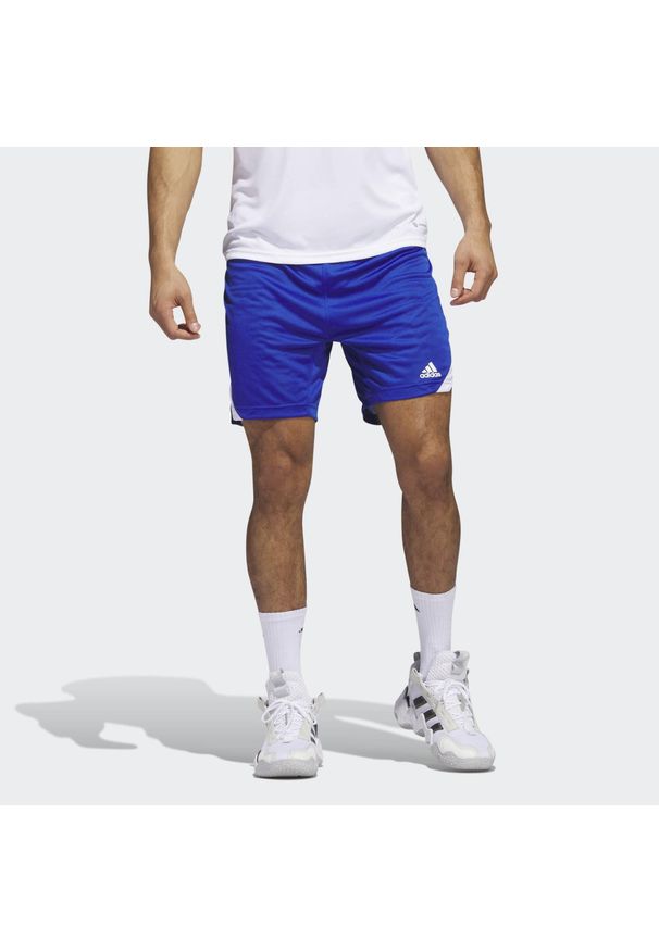 Adidas - Icon Squad Shorts. Kolor: biały, wielokolorowy, niebieski. Materiał: materiał. Sport: fitness