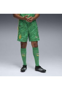 Puma - Męskie szorty bramkarskie AC Milan 25/26 PUMA Archive Green Intense Orange. Kolor: zielony, pomarańczowy, wielokolorowy, żółty. Materiał: tkanina. Sport: piłka nożna