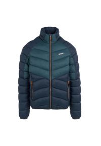 Kurtka puchowa Regatta Dalent. Kolor: niebieski. Materiał: puch. Sport: turystyka piesza #1