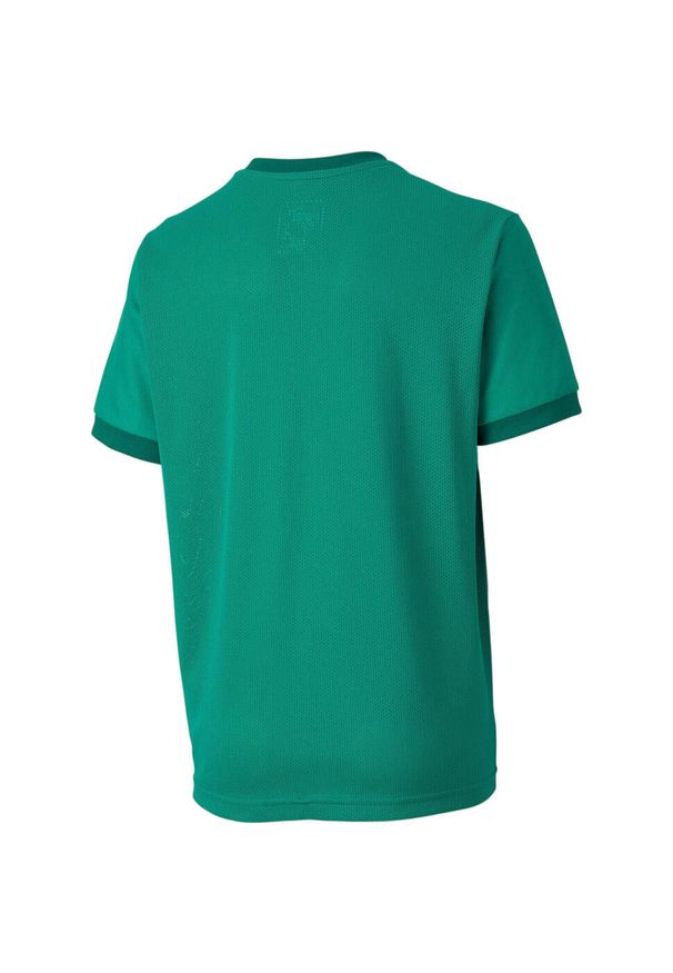 Koszulka dla dzieci Puma teamGOAL 23 Jersey. Kolor: zielony. Materiał: poliester