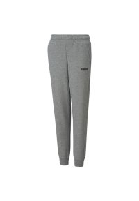 Puma Spodnie Ess 84762802. Kolor: szary