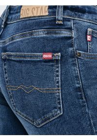 Big-Star - Jeansy damskie niebieskie Maggie 356. Okazja: na co dzień. Kolor: niebieski. Styl: klasyczny, casual #6