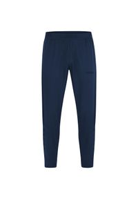 Damskie spodnie dresowe Jako Power. Kolor: niebieski. Materiał: dresówka. Sport: piłka nożna #1