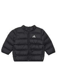 Adidas - adidas Kurtka zimowa JL7389 Czarny Regular Fit. Kolor: czarny. Materiał: syntetyk. Sezon: zima #2