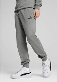 Puma - Męskie spodnie Essentials z logo No. 1 z dżerseju PUMA Medium Gray Heather. Kolor: szary. Materiał: jersey