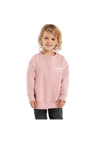 SIROKO - Chopięca bluza dresowa Lifestyle Siroko Cheer. Okazja: na co dzień. Kolor: różowy. Materiał: dresówka. Styl: casual #1