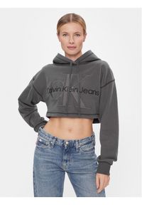 Calvin Klein Jeans Bluza Hero Monologo Short Hoodie J20J222540 Szary Regular Fit. Kolor: szary. Materiał: bawełna