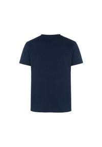 Ochnik - T-shirt męski. Kolor: niebieski. Materiał: bawełna. Wzór: haft #4