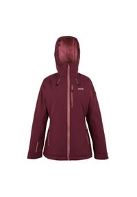 Regatta - Kurtka Damska Highton Stretch Padded Jacket. Kolor: czerwony, wielokolorowy, brązowy. Materiał: puch. Sport: turystyka piesza #1