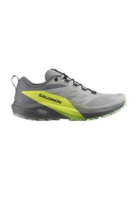 salomon - Buty do biegania męskie Salomon Sense Ride 5. Kolor: szary