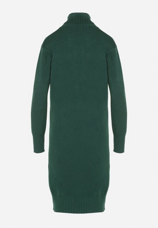 Born2be - Zielona Dzianinowa Sukienka z Bawełną o Prostym Kroju z Golfem Tesala. Okazja: na spotkanie biznesowe, do pracy. Typ kołnierza: golf. Kolor: zielony. Materiał: dzianina, bawełna. Wzór: jednolity. Typ sukienki: proste. Styl: biznesowy, klasyczny
