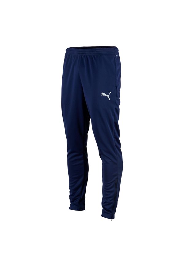 Spodnie piłkarskie dla dzieci Puma teamRISE Poly Training Pants Jr. Kolor: niebieski. Materiał: poliester