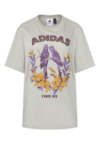 Adidas - adidas T-Shirt FARM Graphic JV8610 Szary. Kolor: szary. Materiał: bawełna