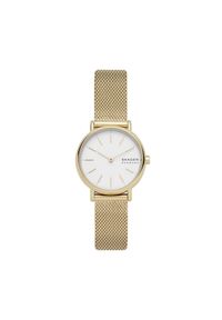 Skagen - Zegarek Damski SKAGEN SIGNATUR SLIM SKW2693. Styl: casual #1