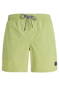 Szorty plażowe Protest Faster. Kolor: zielony #1