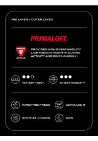 4f - 4F Bezrękawnik puchowy trekkingowy z wypełnieniem PrimaLoft Active męski - szary XXL. Kolor: szary. Materiał: puch. Długość rękawa: bez rękawów. Technologia: Primaloft. Sport: wspinaczka, turystyka piesza #2