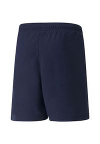 Puma - Spodenki TeamRISE Dla Dzieci. Kolor: niebieski. Styl: sportowy. Sport: turystyka piesza