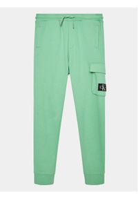 Calvin Klein Jeans Spodnie dresowe Badge Cargo IB0IB01600 Zielony Regular Fit. Kolor: zielony. Materiał: bawełna #1