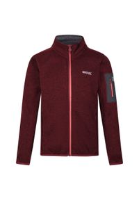 Regatta - Polar dziecięcy Newhill Fleece Jacket. Kolor: brązowy, wielokolorowy, szary, czerwony. Materiał: polar #1