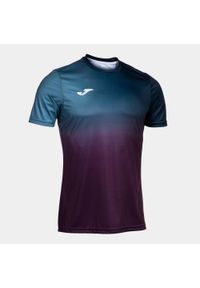 Koszulka Joma Pro Team. Kolor: niebieski. Sport: piłka nożna #1