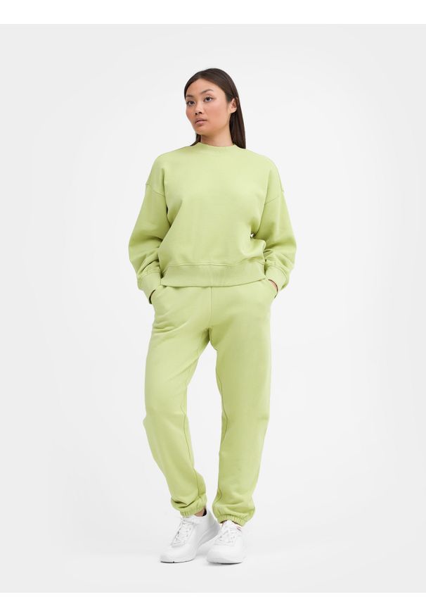 4f - Spodnie dresowe z bawełny organicznej damskie. Kolor: zielony. Materiał: dresówka, bawełna. Wzór: haft
