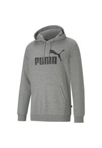 Bluza treningowa męska Puma Ess Big Logo Hoodie. Typ kołnierza: kaptur. Kolor: wielokolorowy, szary, czarny