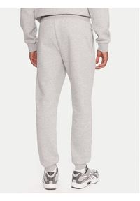 Reebok Spodnie dresowe RK25146CCM Szary Regular Fit. Kolor: szary. Materiał: bawełna #5