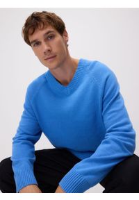 Reserved - Sweter z dekoltem V - niebieski. Kolor: niebieski. Materiał: bawełna, dzianina