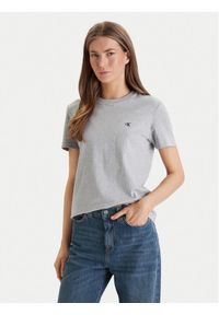 Calvin Klein Jeans T-Shirt Archive LV047B224G Szary Regular Fit. Kolor: szary. Materiał: bawełna #1